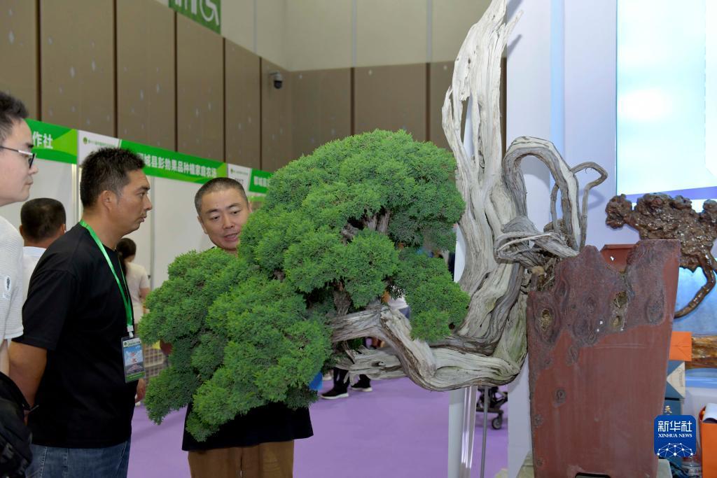 永利登录首页